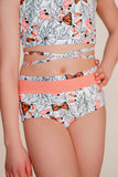 Butterfly Convention Briefs