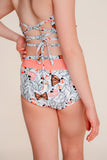 Butterfly Convention Briefs