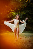 Golden Lace Bra Top
