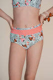 Butterfly Convention Briefs