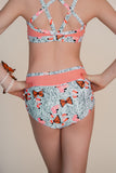 Butterfly Convention Briefs