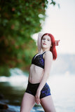 Twilight Bra Top